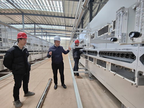 5万吨高端锂电负极材料项目7月投产，建筑装饰材料产业如何转型制胜新赛道？